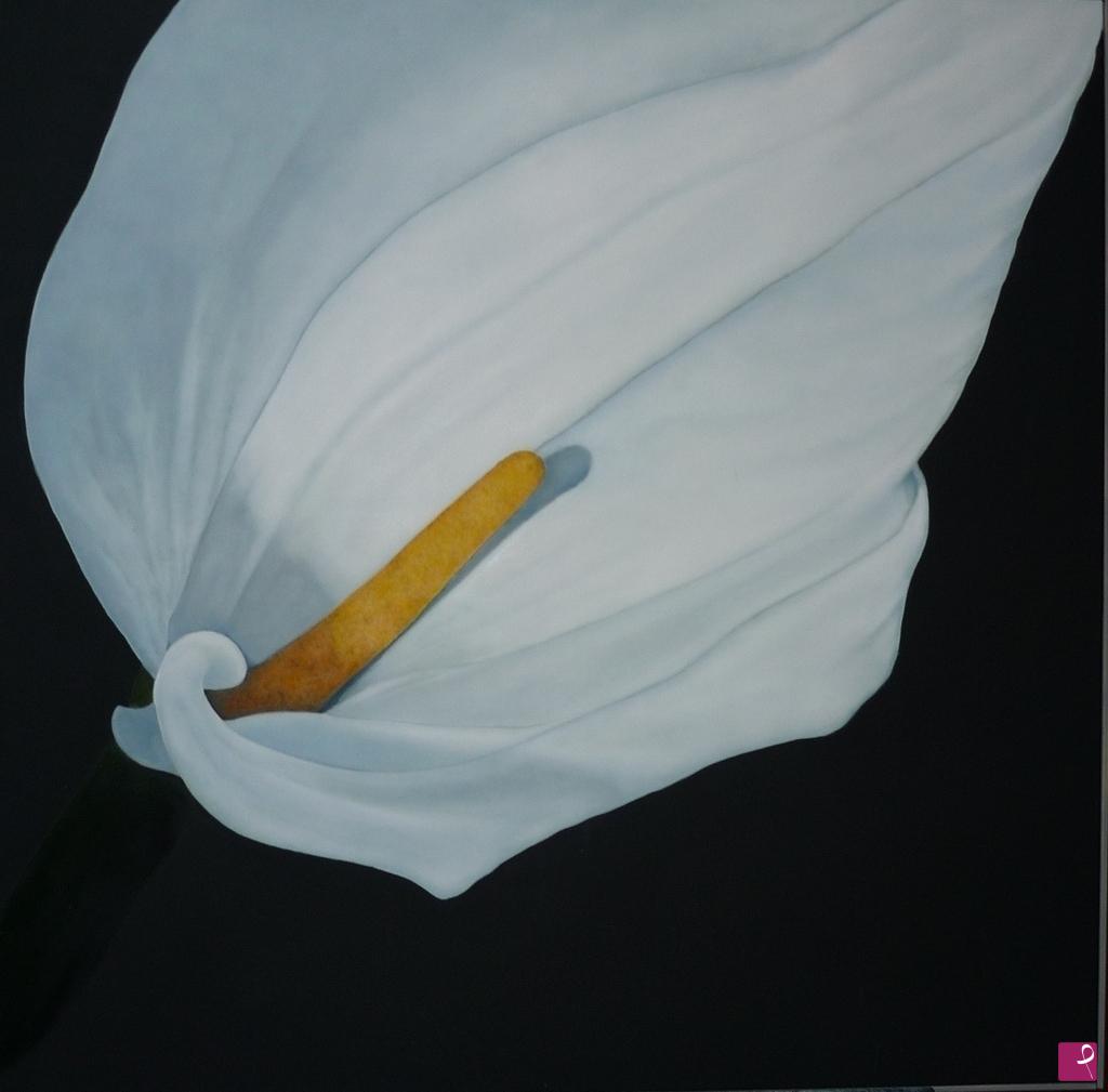 quadri in vendita online - Zantedeschia