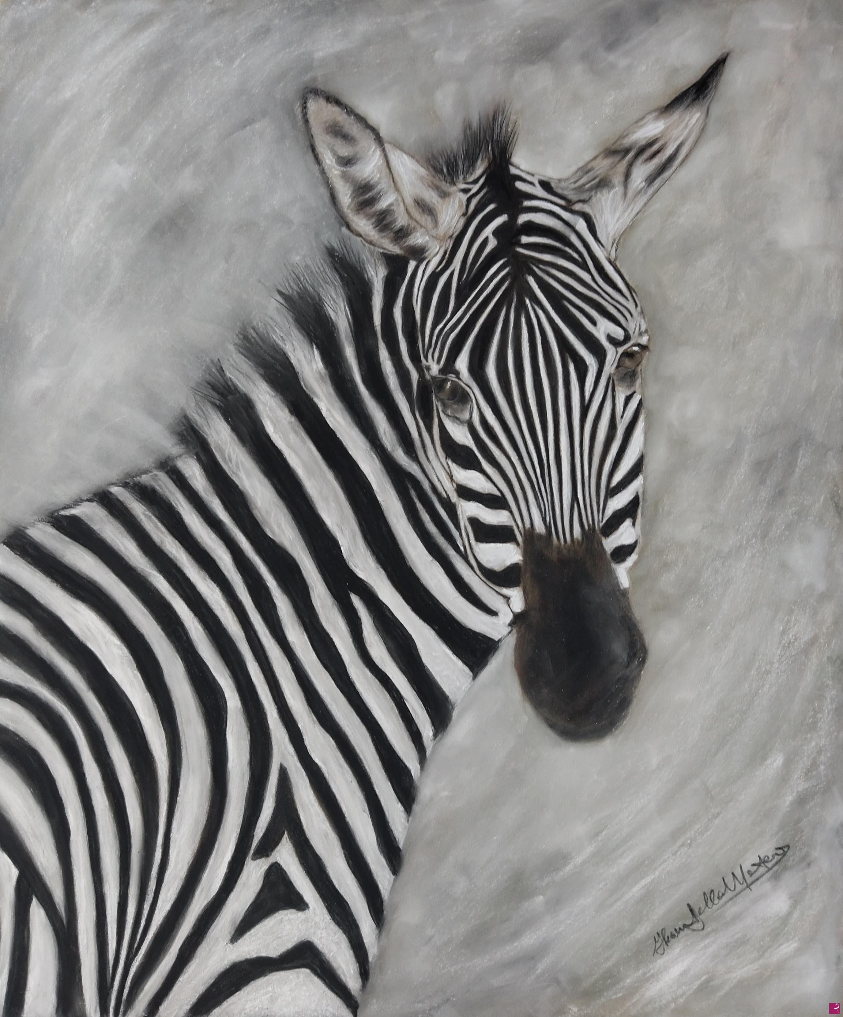 quadri in vendita online - "Zebra"